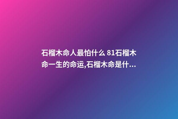 石榴木命人最怕什么 81石榴木命一生的命运,石榴木命是什么意思,石榴木命详解-第1张-观点-玄机派